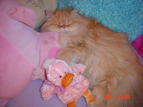 misc002.jpg